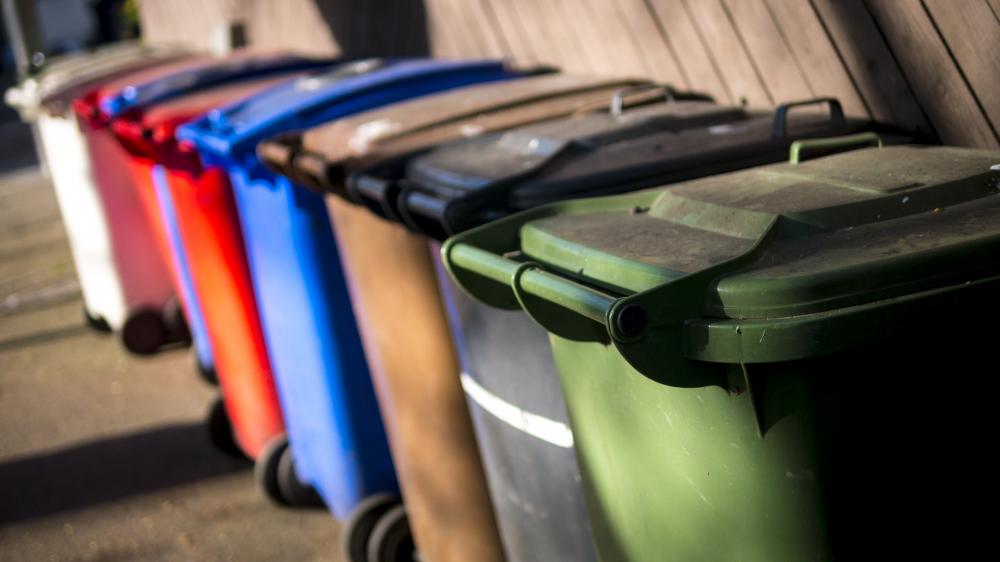 Bin Collection Forton